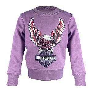Kids Harley Davidson Sweatshirt